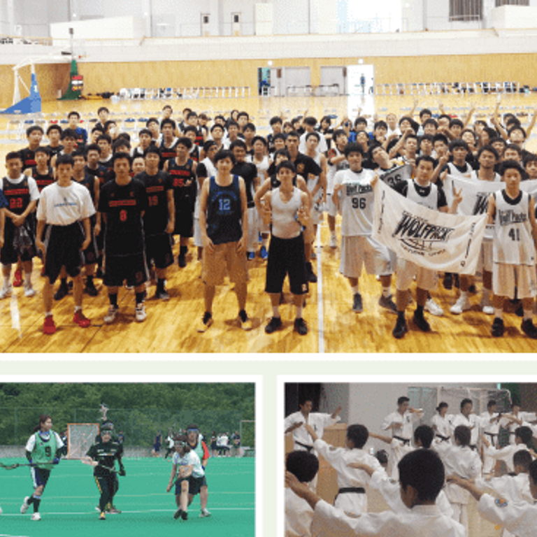 サッカーフィールド、野球場、多目的広場